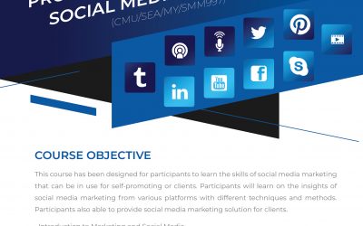 Professional Certification in Social Media Marketing